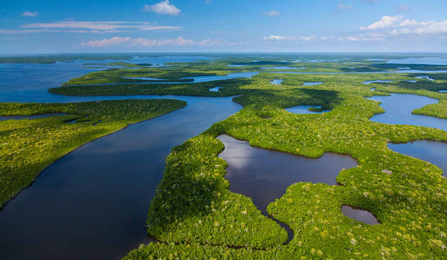 Everglades Luftansicht